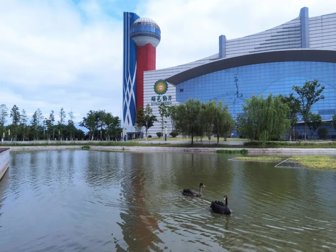 今年会集团获批发行10亿元中期票据 融资渠道再拓宽